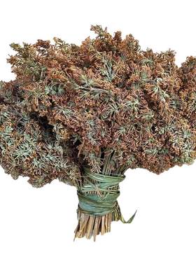 云南染饭花干花密蒙花野生黄香花