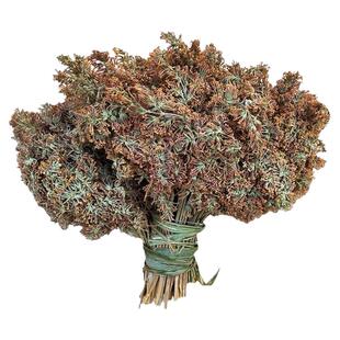 云南野生植物密蒙花染饭花干花 黄米饭染料花五色米染饭花黄香花