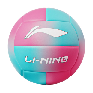 李宁排球初中生中考学生专用5号体育考试硬标准款比赛气排球硬排