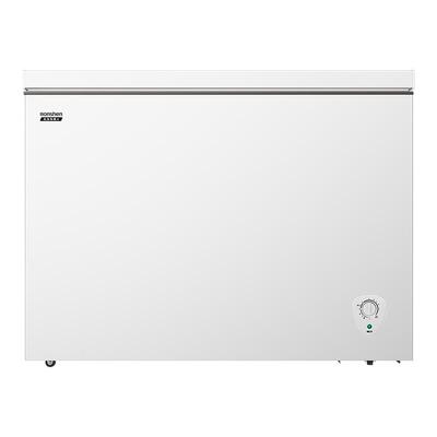 容声300L家用小型冷柜