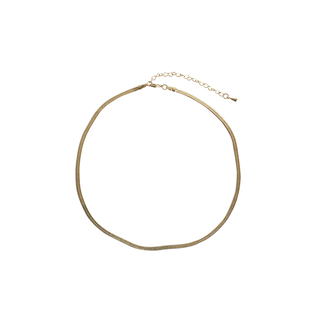 时尚博主人手一条!!扁蛇骨链钛钢不褪色锁骨链简约项链女 6679