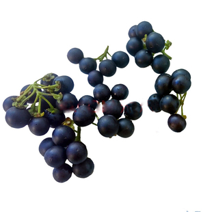 龙葵种籽东北黑天天紫黑黝黝悠悠龙葵果种四季高产阳台草子龙葵籽