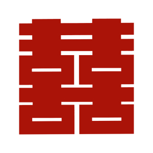 喜字结婚专用套装婚房布置装饰房门喜字贴出阁卧室囍字大门窗户贴