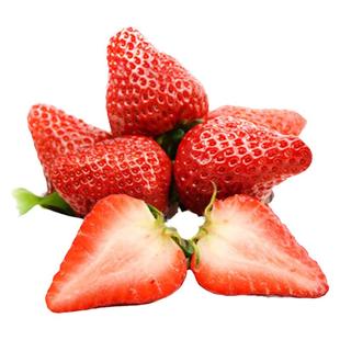 丹东草莓苗种植带盆带土四季盆栽陆地室内植物奶油秧家庭阳台99