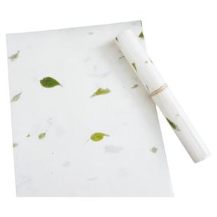 A5\A4高颜值小众简约禅意信纸中式双面全彩手绘花草纸信纸信封简约复古打印纸书法练字纸中国风手写情书信笺