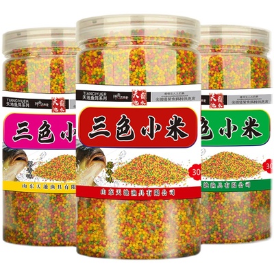 天池霸水鲫鱼鲤鱼诱食钓鱼小米