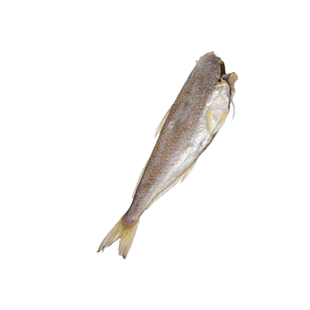 葵龙鱼干 九棍鱼干奎龙鱼干那哥鱼脯干马口鱼干狗棍鱼干咸鱼干