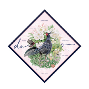 daparo yeung达普罗林间原创自然清新女真丝斜纹方巾丝巾披肩礼物