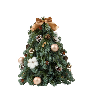 新款PE圣诞树小型诺贝松套装diy圣诞节礼物仿真新年树桌面小树