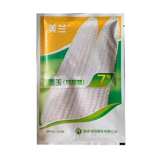 美兰美玉7号加甜糯玉米种子高产大棒鲜食香甜原装白甜糯玉米种籽