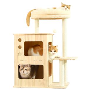 猫爬架实木家用小户型不占地猫爬柱猫架小型攀爬架猫窝一体猫抓架