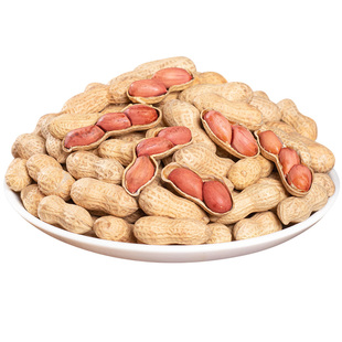 原味花生瓜子批发10斤新货带壳炒货过年货结婚婚庆休闲零食品婚宴