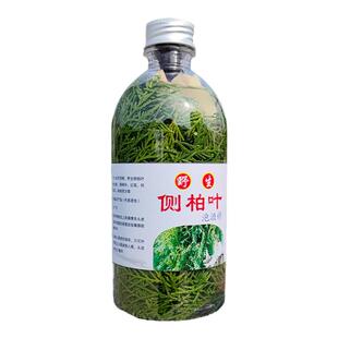 新鲜野生侧柏叶泡酒育发液护生发水白发酒精生姜骨碎补红花首乌