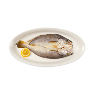 三都港远洋野生黄鱼黄鱼鲞南美大西洋非近海养殖1.2kg(内含4条)