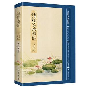 美了千年却被淡忘诗经名物图解[日]细井徇绘中国古诗词植物人物风景素描水彩绘画全集书籍  图解诗经全集书籍
