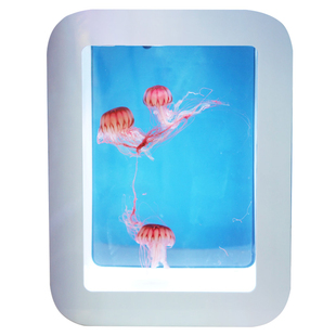 中型家庭专业水母缸鱼缸水族箱活体观赏海月刺彩色樱桃水母箱S58