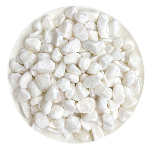 【水培石】白色石子多肉铺面石鹅卵石雨花石鱼缸造景盆栽养花专用