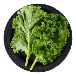 新鲜羽衣甘蓝半斤-5斤装嫩叶甘兰kale健身榨汁西餐食材蔬菜沙拉