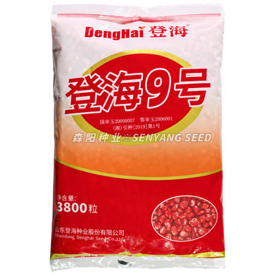 登海9号玉米种国审大田饲料玉米