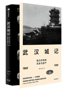 武汉城记许颖丁援中信出版