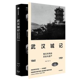 武汉城记 许颖 等著 历史学家冯天瑜作序 读江城武汉 览百年风华 实地勘察 展现古建今貌 中信出版社图书 正版