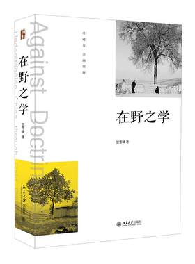 在野之学雪峰本土方法论研究著作