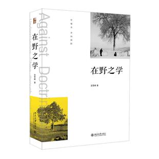 在野之学 贺雪峰 本土学者方法论研究著作 社会科学研究方法总体反思 乡村研究基本策略原则 经验研究方法认识 北京大学旗舰店正版