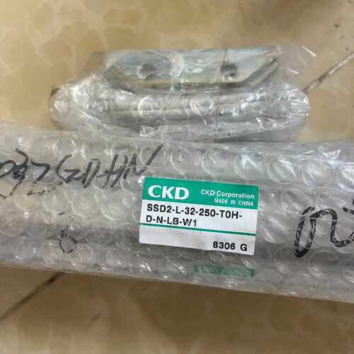 CKD气缸SSD2-L-32-250-T0H-D-N-LB-