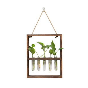 壁挂玻璃试管花瓶水培绿萝植物插花壁饰家居简约悬挂墙上墙壁装饰