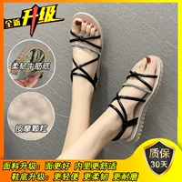 Black-Diamond-качество обновление