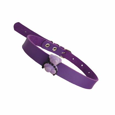 【禁锢小熊】SEXLESS小众项圈