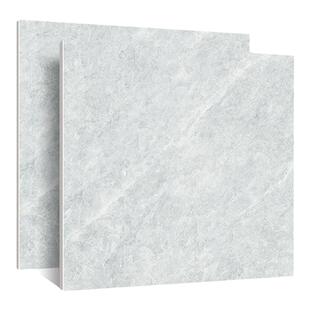 东鹏瓷砖客厅瓷砖800x800地板砖现代简约防滑地砖卧室耐磨地砖