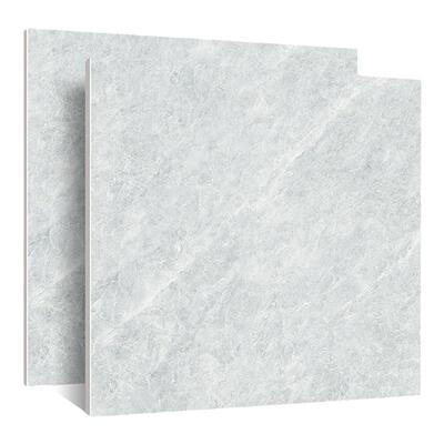 东鹏瓷砖客厅地板砖现代简约