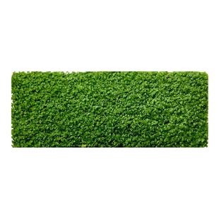 迷你小圆叶草坪网片鱼缸造景前景草活体植物热带鱼水族箱装饰