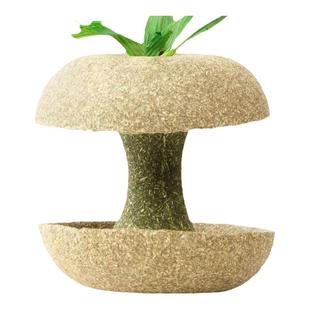 仓鼠粮食苹果核磨牙棒金丝熊解闷营养小零食磨牙玩具造景用品大全