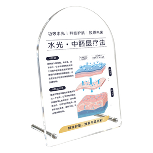 美容院展示牌定制面部皮肤结构分层抗衰图医美肌肤中胚层台卡桌牌