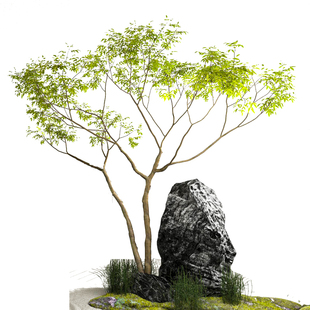 仿真绿植鸡爪槭造景室内天井橱窗门店软装设计定制装饰大型假树