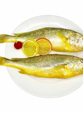3斤黄鱼新鲜冷冻黄花鱼大黄鱼