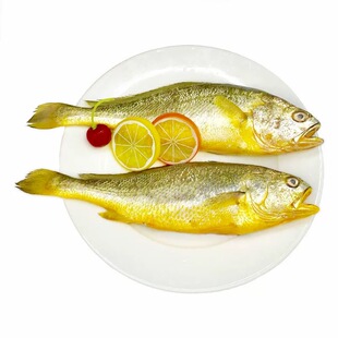3斤黄鱼深海大黄鱼新鲜冷冻黄花鱼宁德鲜活冰冻舟山小海鲜水产