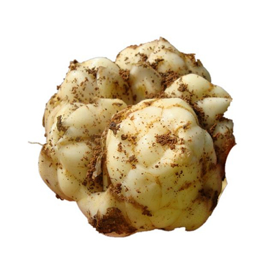 2025年包邮宜兴百合食用