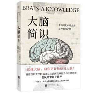 【现货正版】大脑简识 马克马格里尼以风趣通俗的方式讲解世界脑科学前沿成果读懂人类大脑的各项机能机制成人科普书籍