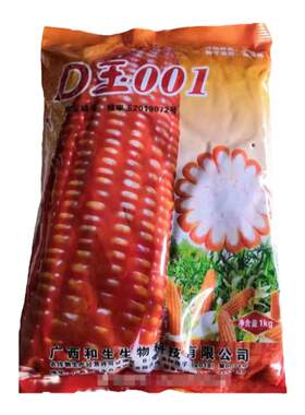 矮杆大棒玉米种子D玉001