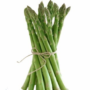 芦笋苗根绿色苗紫色芦笋苗种非转基因四季蔬菜苗阳台盆栽多年根生