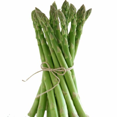 芦笋苗根绿色苗紫色蔬菜苗阳台