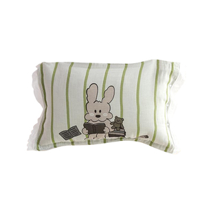 按扣花边纯棉枕套一对装四季新款AB版全包成人家用全棉枕芯内胆套