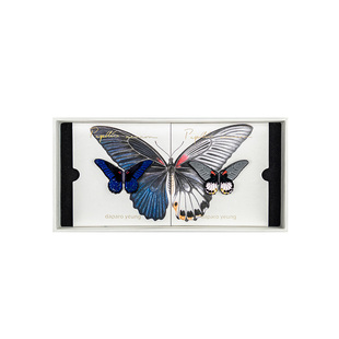 daparo yeung达普罗梁祝美凤蝶蝴蝶胸针女男磁吸款情侣生日礼物