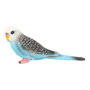 仿真野生动物模型套装小虎皮鹦鹉飞禽鸟类儿童认知迷你塑胶玩具