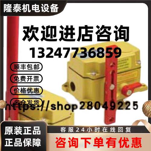 议价美国  RAMSEY  料位开关 DTR131   保障  赛默飞拉姆齐