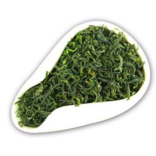 海青绿茶2025新茶炒青日照足青岛明前春茶500g豆香赛崂山茶叶包邮