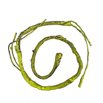 宠物仿树枝爬藤可任意弯曲